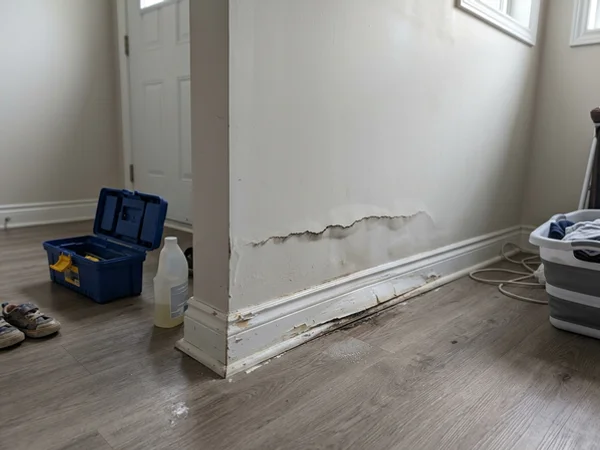 Wet drywall with a visible wicking line and swollen baseboards before drying